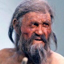 UNICORN TRAUMA - PHOTO D'ÖTZI